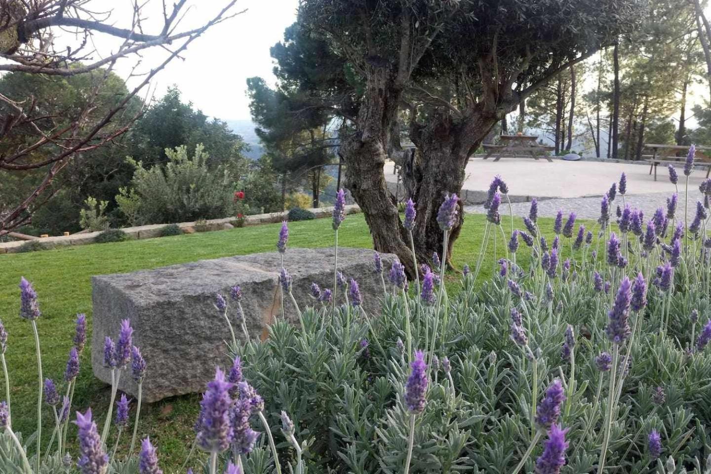 Willa Quinta Da Idalina Monchique Pokój zdjęcie